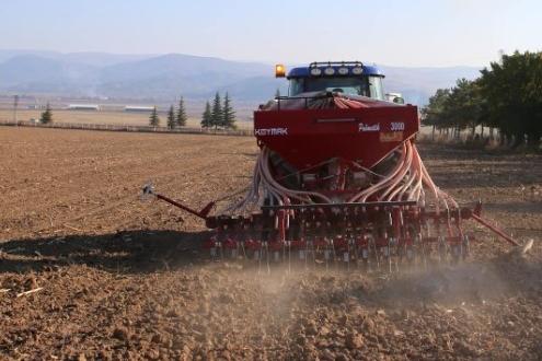 Amasya’da Yerli ve Milli buğday tohumlar toprakla buluştu.
